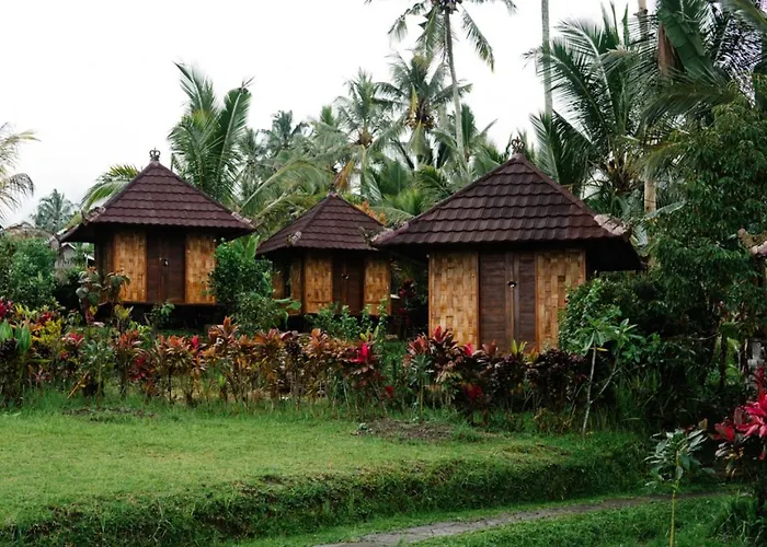 Puri Sunny Camp