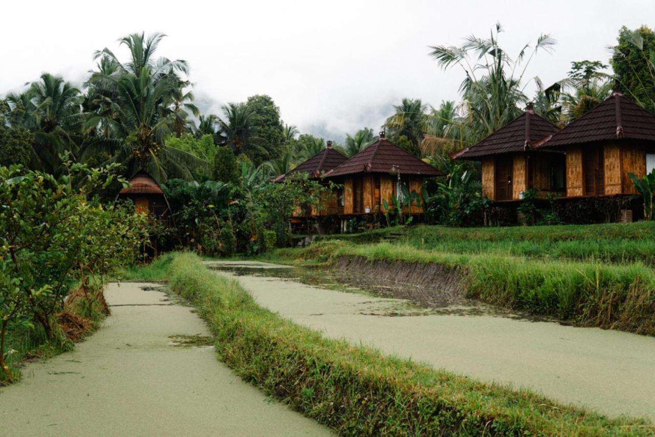 Puri Sunny Camp Munduk