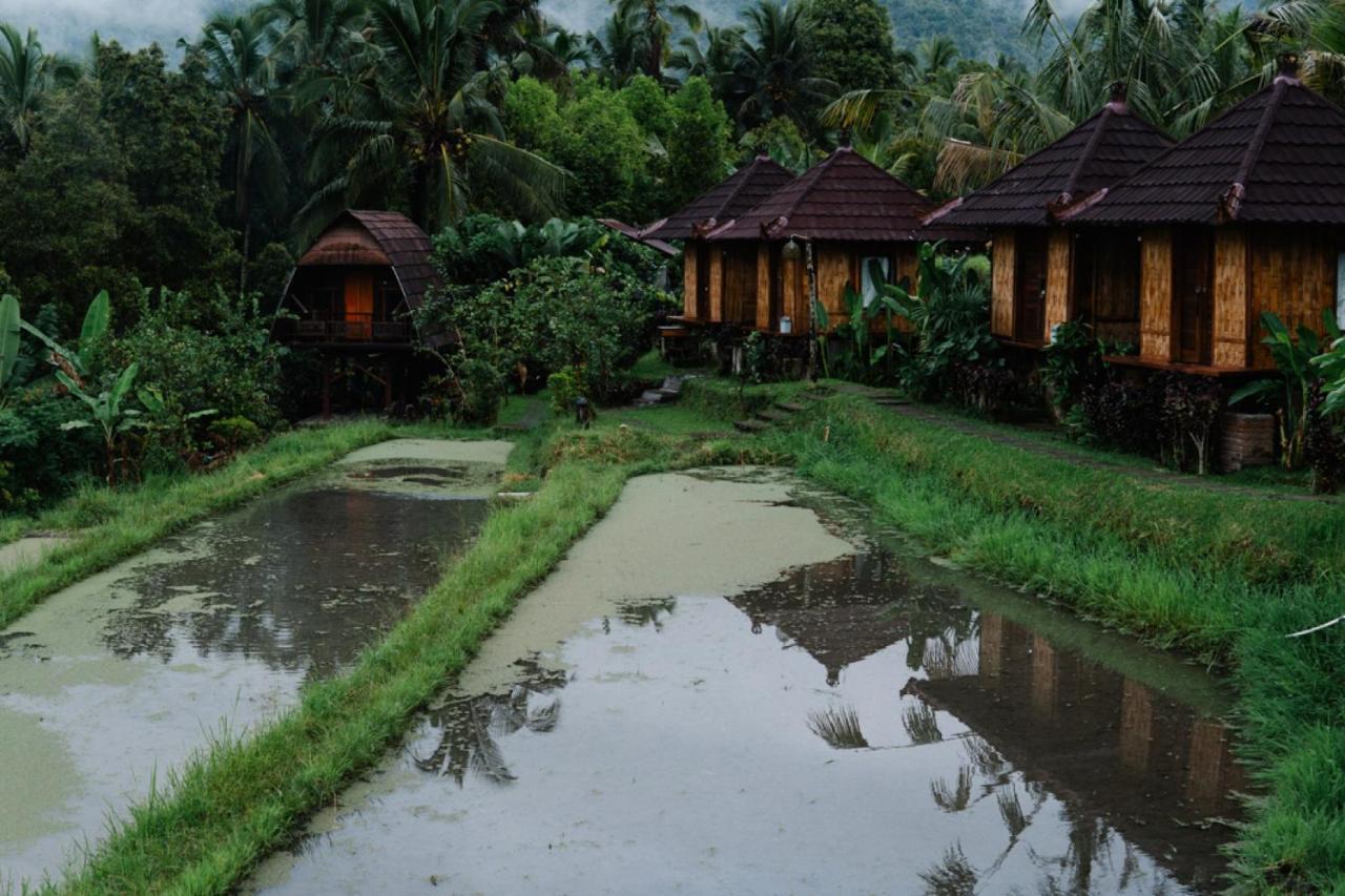 Lodge Puri Sunny Camp *