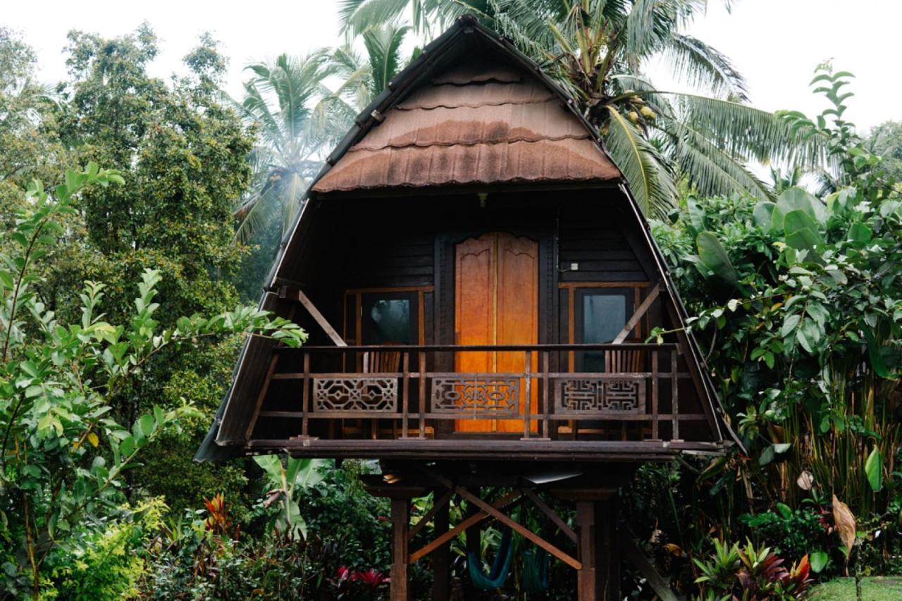 Puri Sunny Camp Munduk